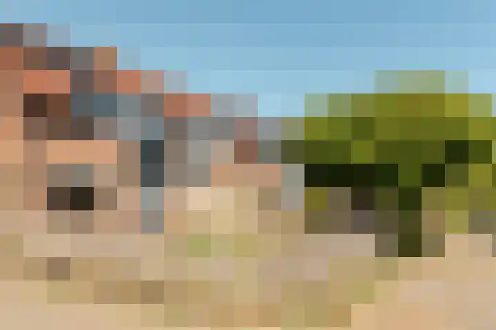 Voergang 96 Drachten thumbnail 6