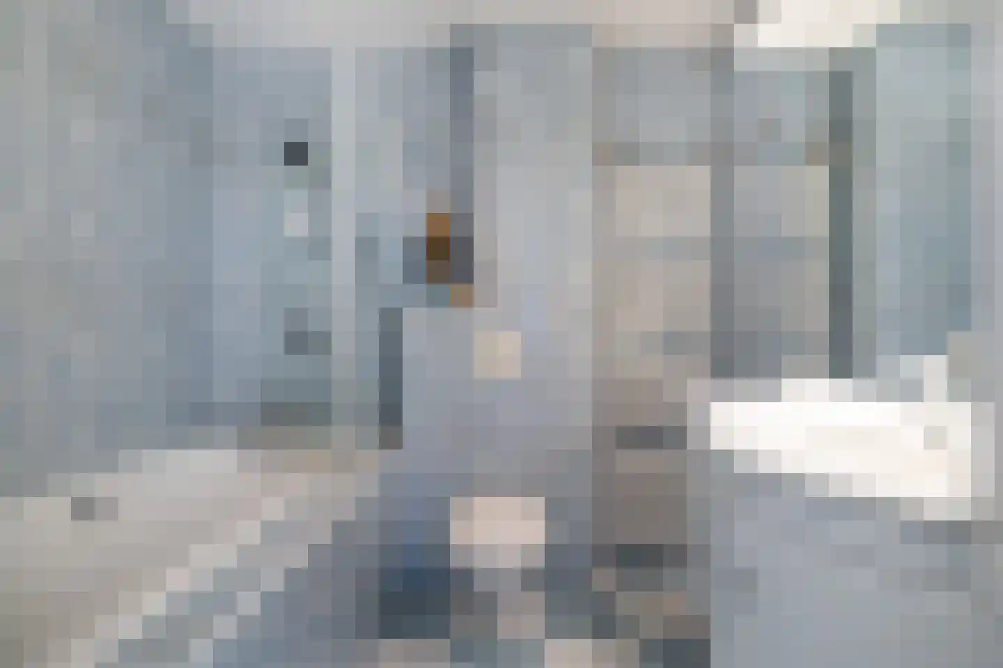 Voerliedenhoek 15 Bunnik thumbnail 40