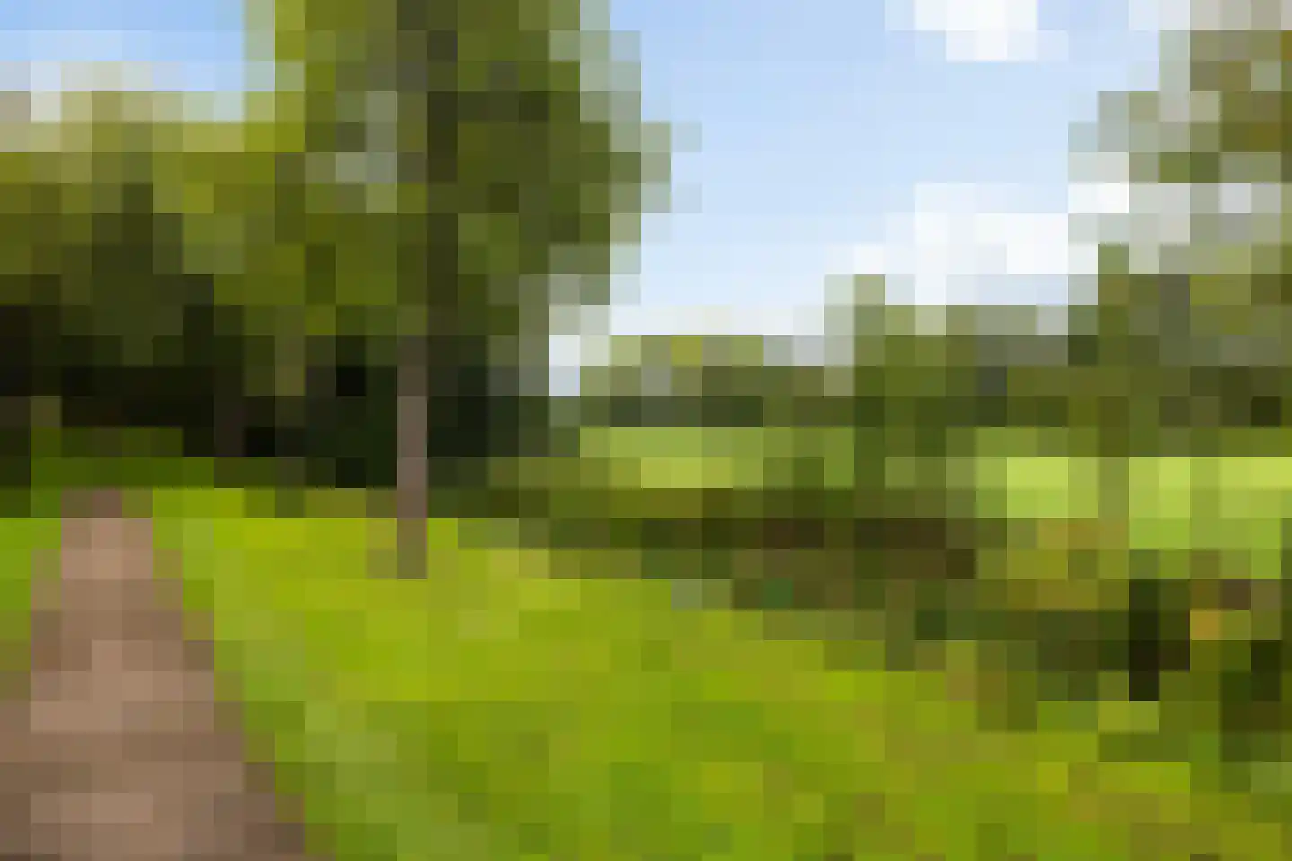 Voerliedenhoek 15 Bunnik thumbnail 47