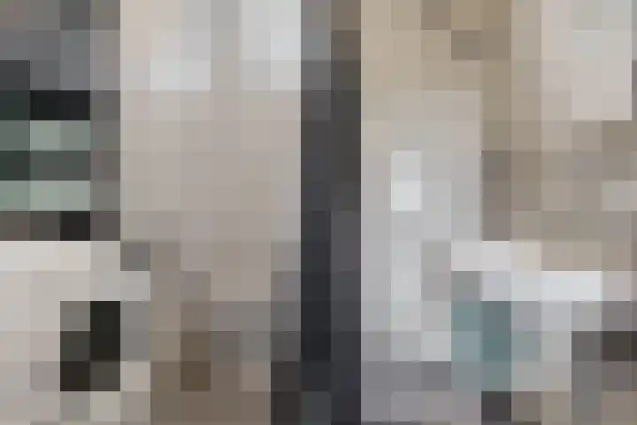 Voerman 174 Lisse thumbnail 16