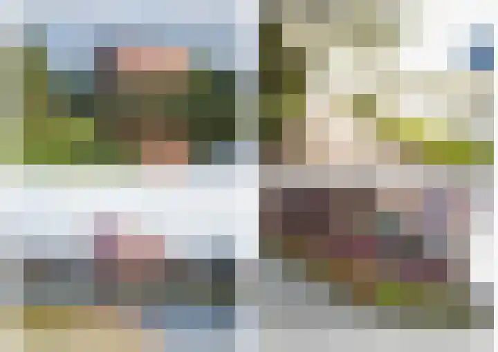 Voerman 174 Lisse thumbnail 18