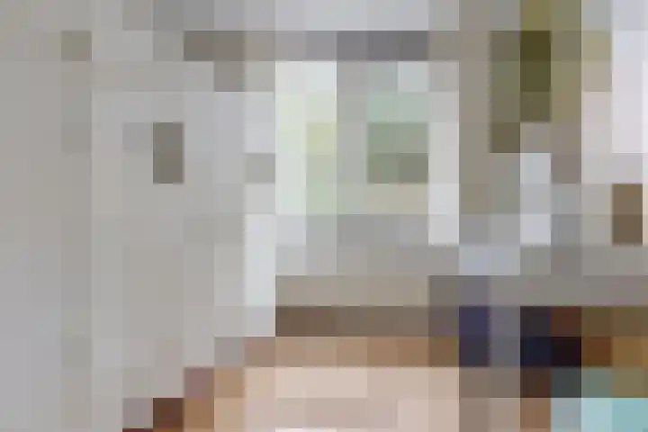 Voerman 174 Lisse thumbnail 18