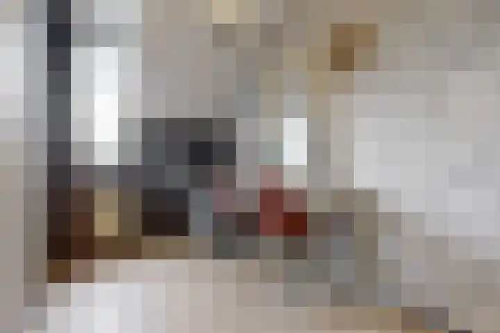 Voerman 174 Lisse thumbnail 22