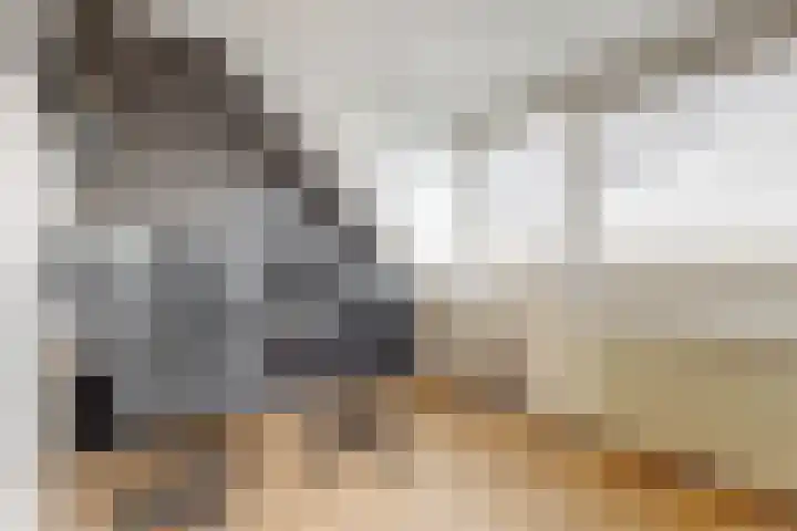 Voerman 174 Lisse thumbnail 25