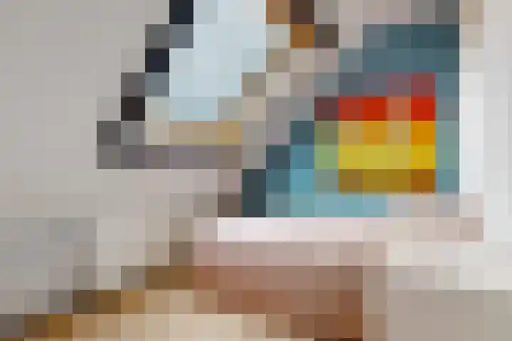 Voerman 174 Lisse thumbnail 26
