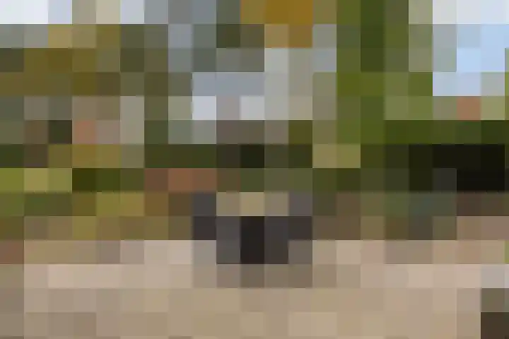 Voerman 174 Lisse thumbnail 27