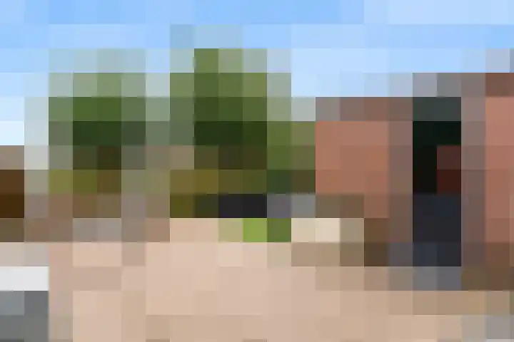 Voerman 174 Lisse thumbnail 28