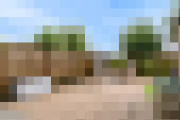 Voerman 174 Lisse thumbnail 29