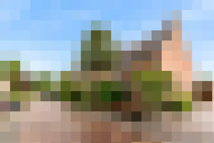 Voerman 174 Lisse thumbnail 35