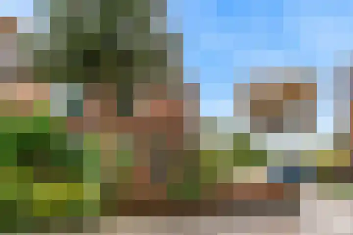 Voerman 174 Lisse thumbnail 36