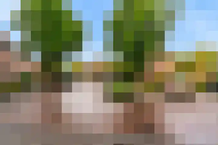 Voerman 174 Lisse thumbnail 4