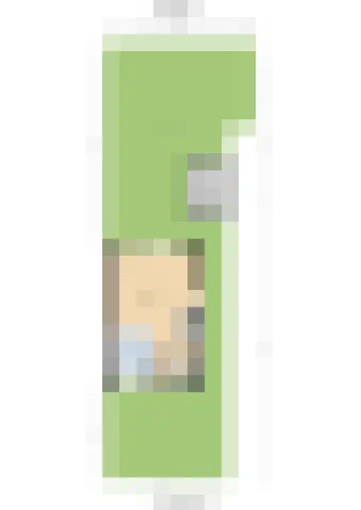 Voerman 174 Lisse thumbnail 40