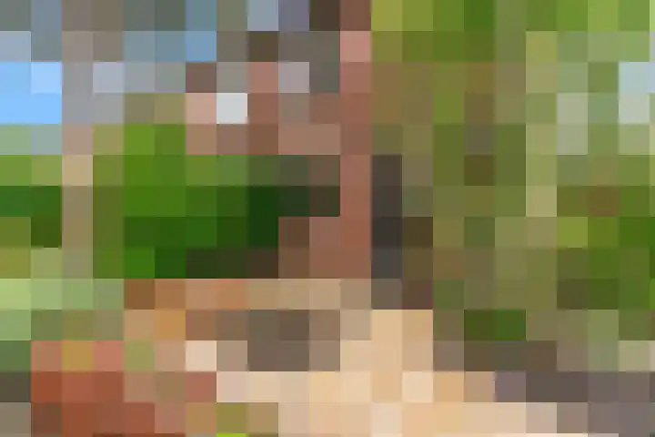 Voerman 174 Lisse thumbnail 5