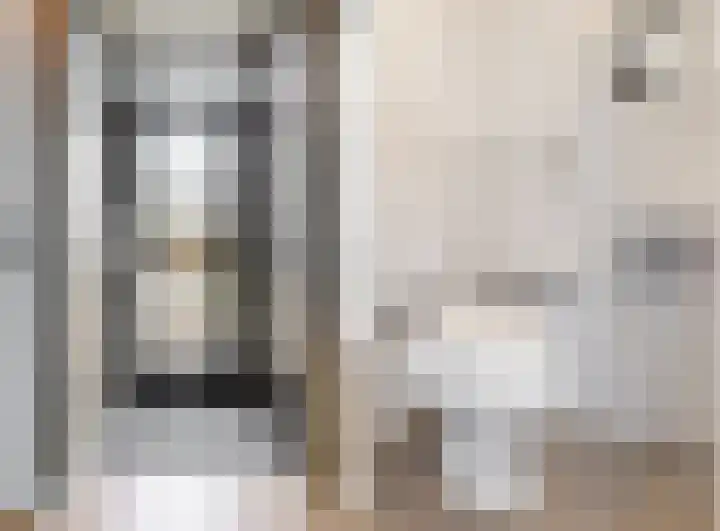 Voerman 174 Lisse thumbnail 7