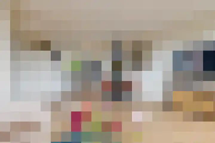 Voerman 174 Lisse thumbnail 9