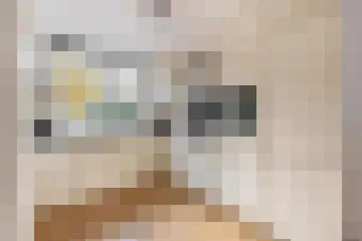 Voerman 99 Lisse thumbnail 10