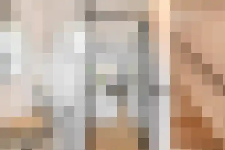 Voerman 99 Lisse thumbnail 14