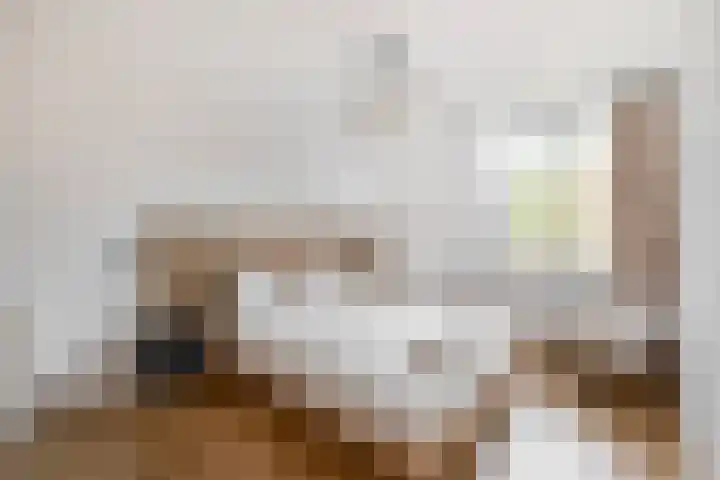 Voerman 99 Lisse thumbnail 15