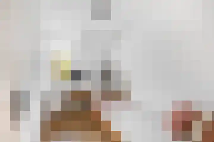 Voerman 99 Lisse thumbnail 22