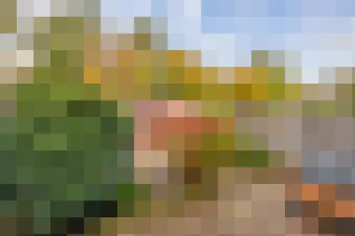 Voerman 99 Lisse thumbnail 29