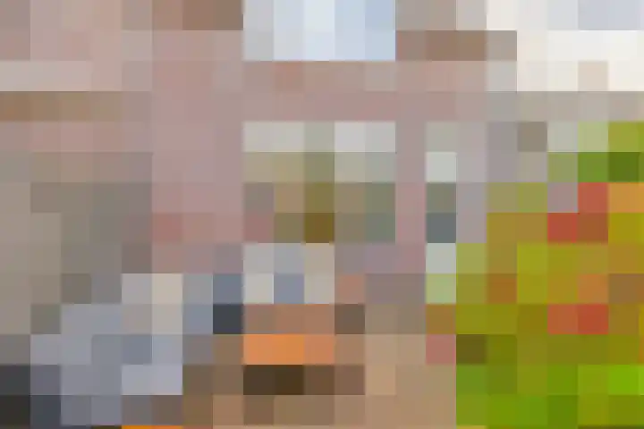 Voerman 99 Lisse thumbnail 31