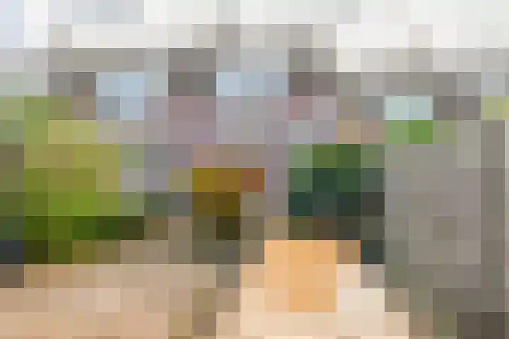 Voerman 99 Lisse thumbnail 32