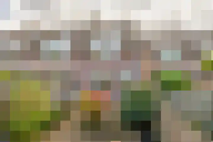 Voerman 99 Lisse thumbnail 33