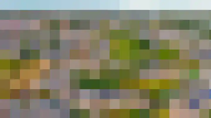 Voerman 99 Lisse thumbnail 35