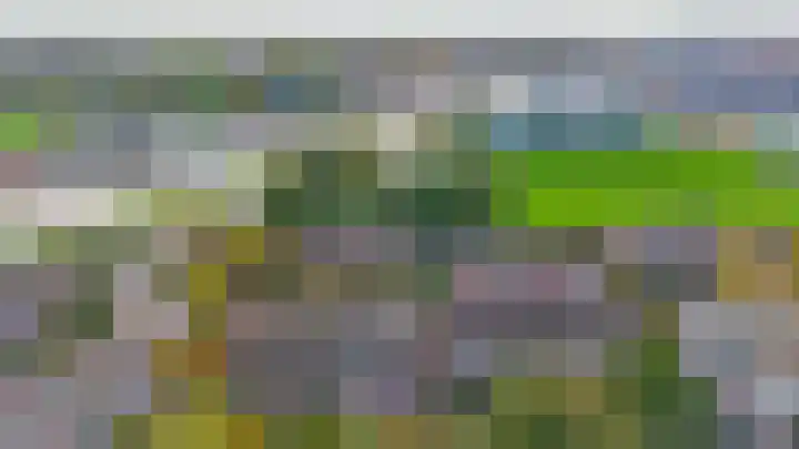Voerman 99 Lisse thumbnail 36