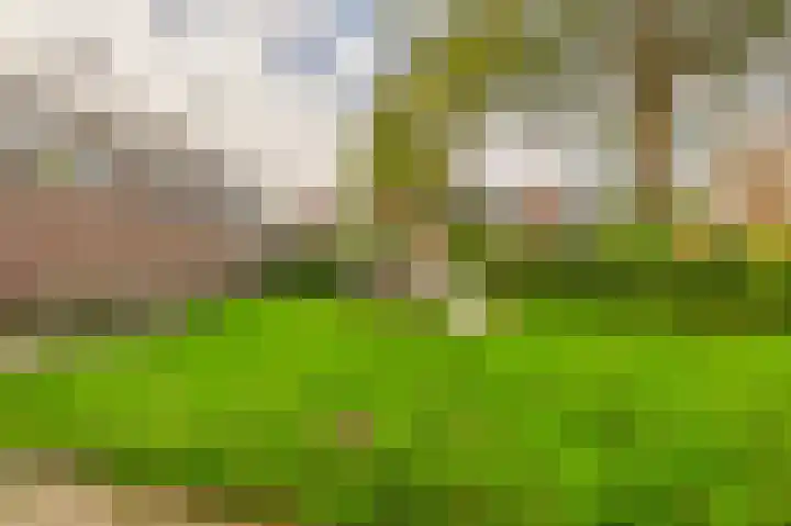 Voerman 99 Lisse thumbnail 38