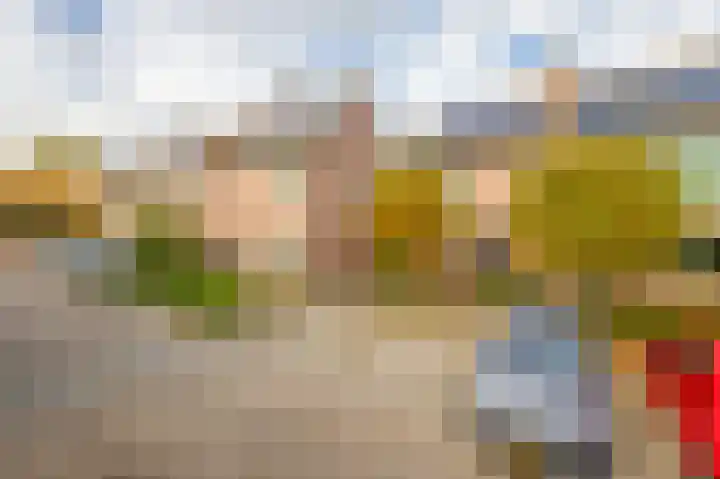 Voerman 99 Lisse thumbnail 39