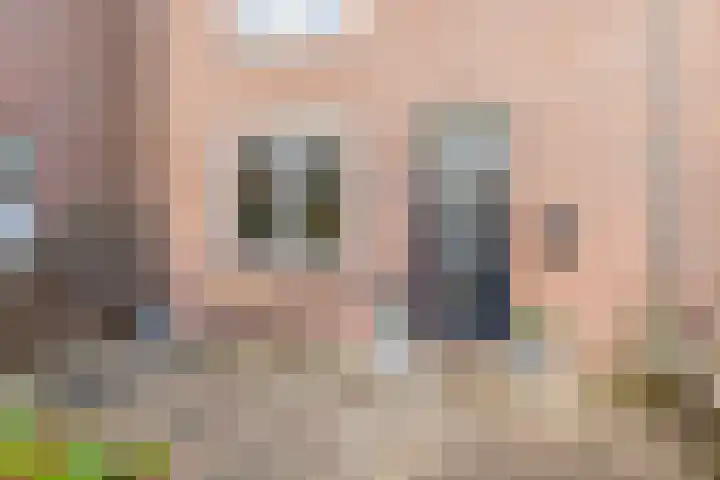 Voerman 99 Lisse thumbnail 4