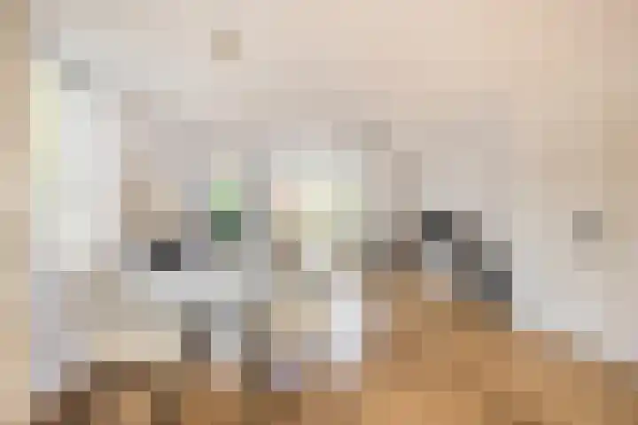 Voerman 99 Lisse thumbnail 5