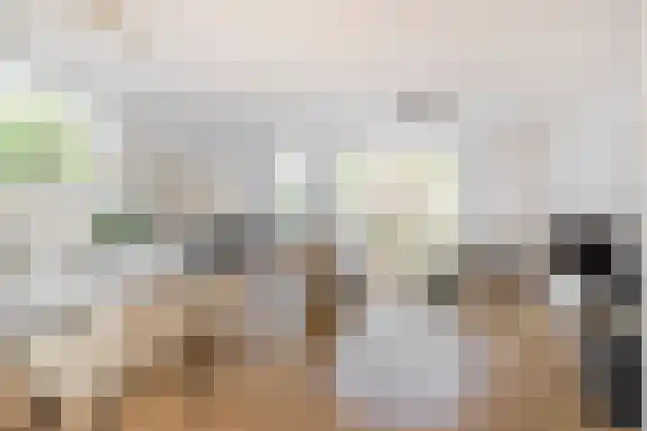 Voerman 99 Lisse thumbnail 6