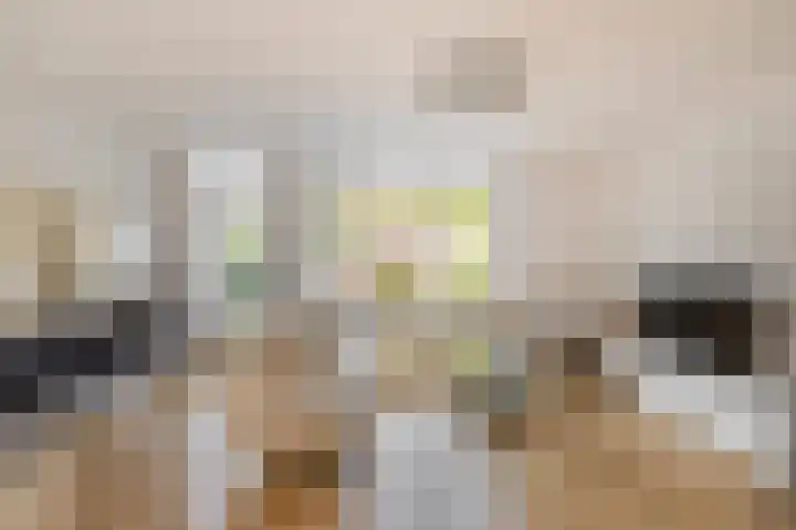 Voerman 99 Lisse thumbnail 7