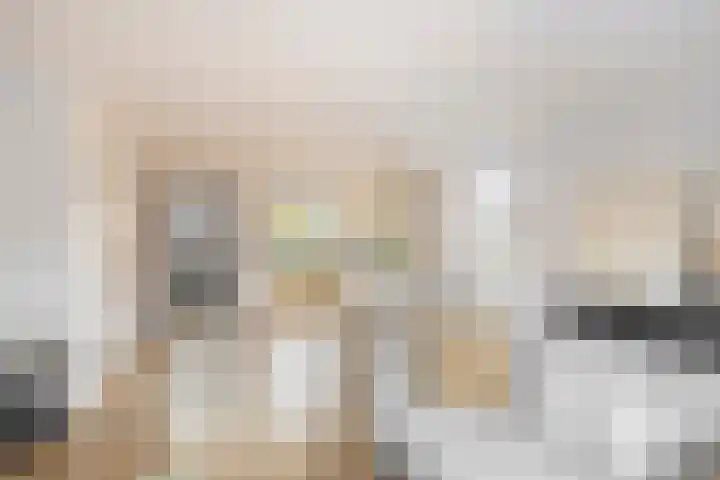 Voerman 99 Lisse thumbnail 8