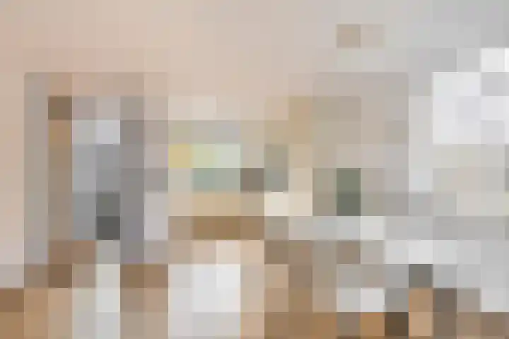Voerman 99 Lisse thumbnail 9
