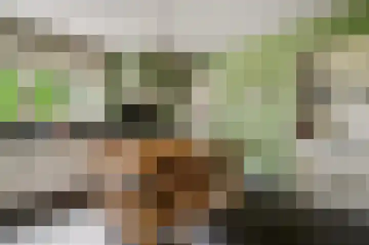 Voermanlaan 19 Posterholt thumbnail 20