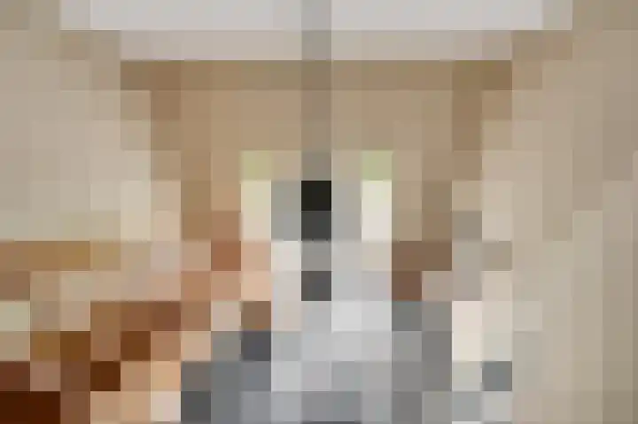 Voermanlaan 19 Posterholt thumbnail 28