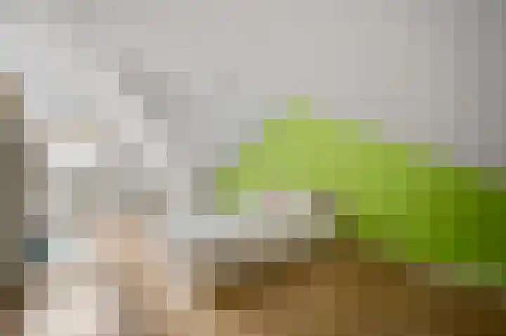 Voermanlaan 19 Posterholt thumbnail 32