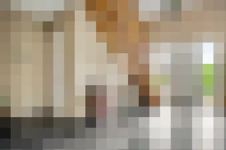 Voermanlaan 19 Posterholt thumbnail 6