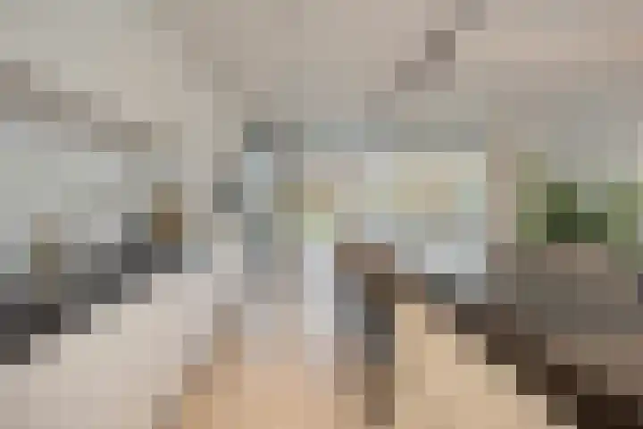 Voermanlaan 7 Posterholt thumbnail 11