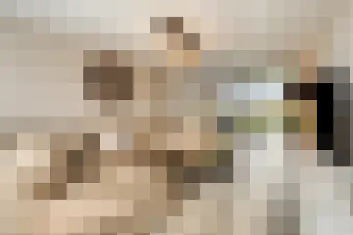 Voermanlaan 7 Posterholt thumbnail 14