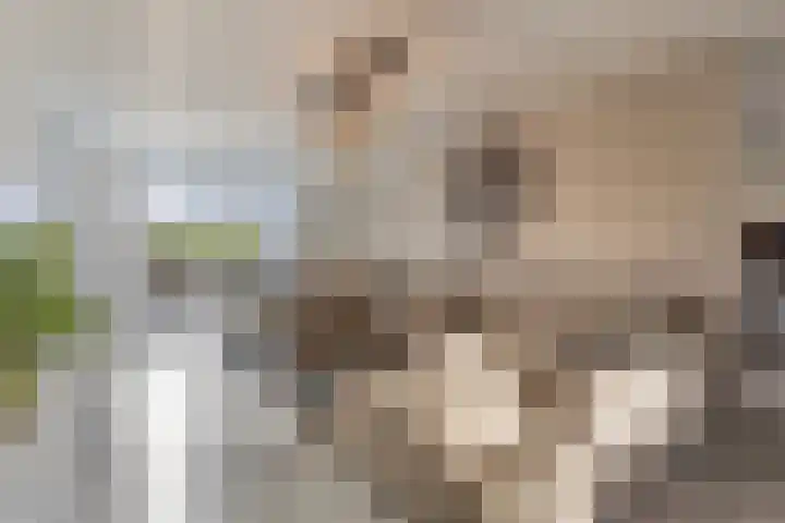 Voermanlaan 7 Posterholt thumbnail 15