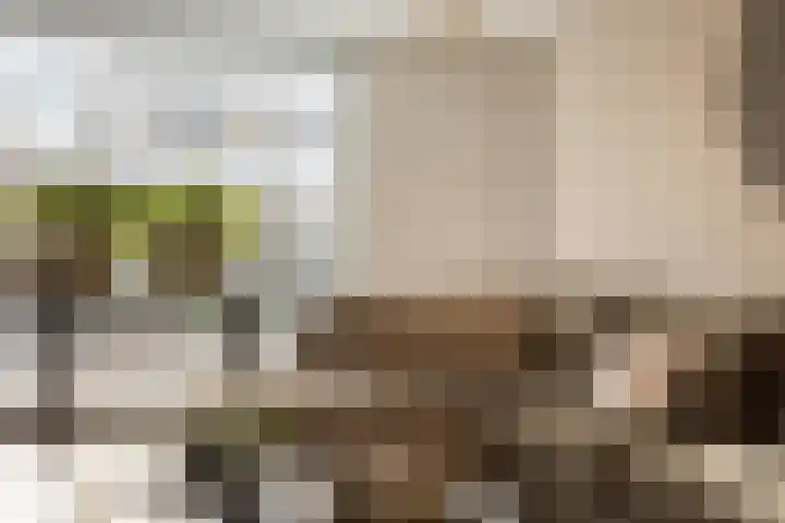 Voermanlaan 7 Posterholt thumbnail 16