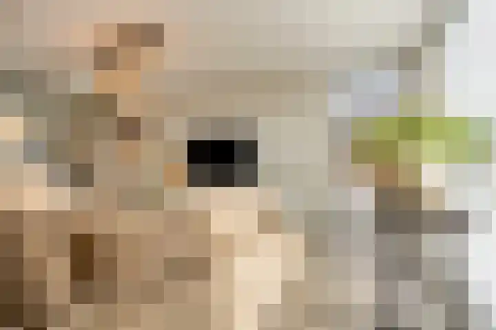 Voermanlaan 7 Posterholt thumbnail 17