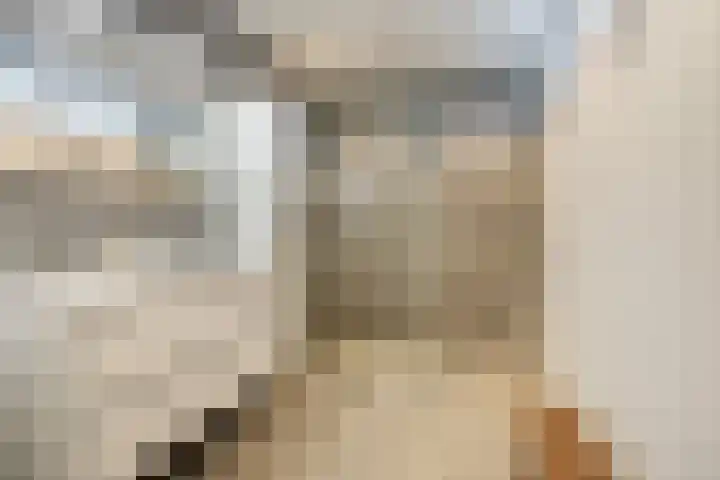 Voermanlaan 7 Posterholt thumbnail 21