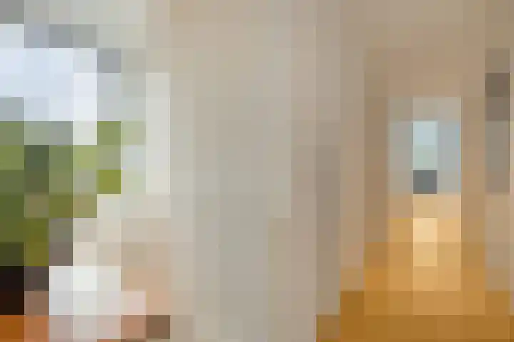 Voermanlaan 7 Posterholt thumbnail 23