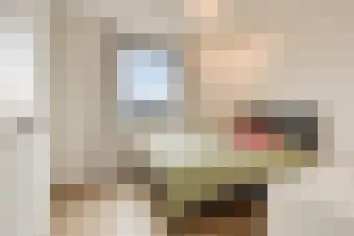 Voermanlaan 7 Posterholt thumbnail 26