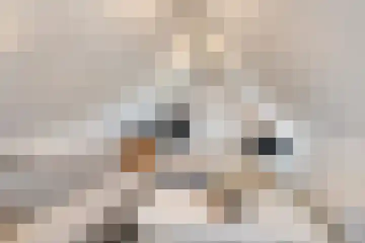 Voermanlaan 7 Posterholt thumbnail 35